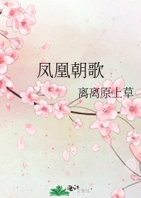 凤凰朝歌